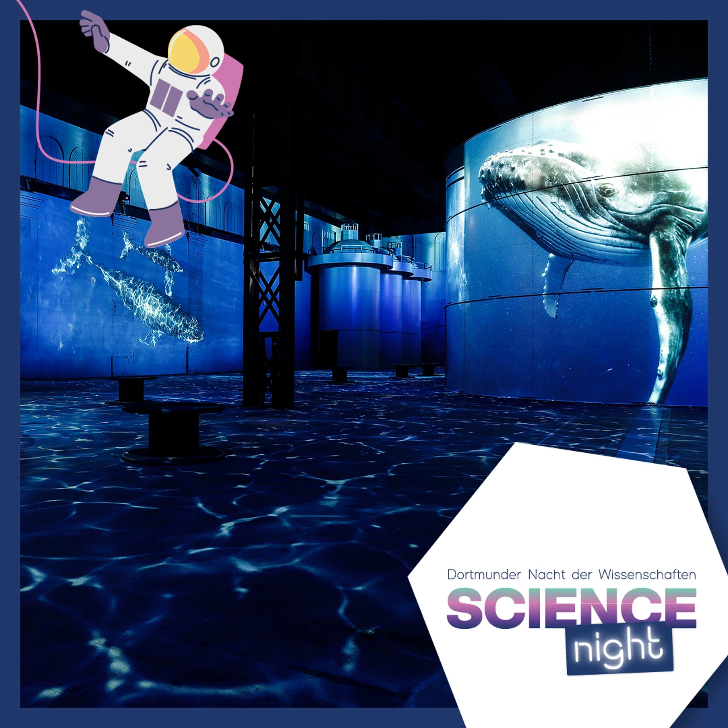 Science Night | Premiere der neuen Sonderausstellung "Wunderwelt Ozean - Ein immersiver Tauchgang""